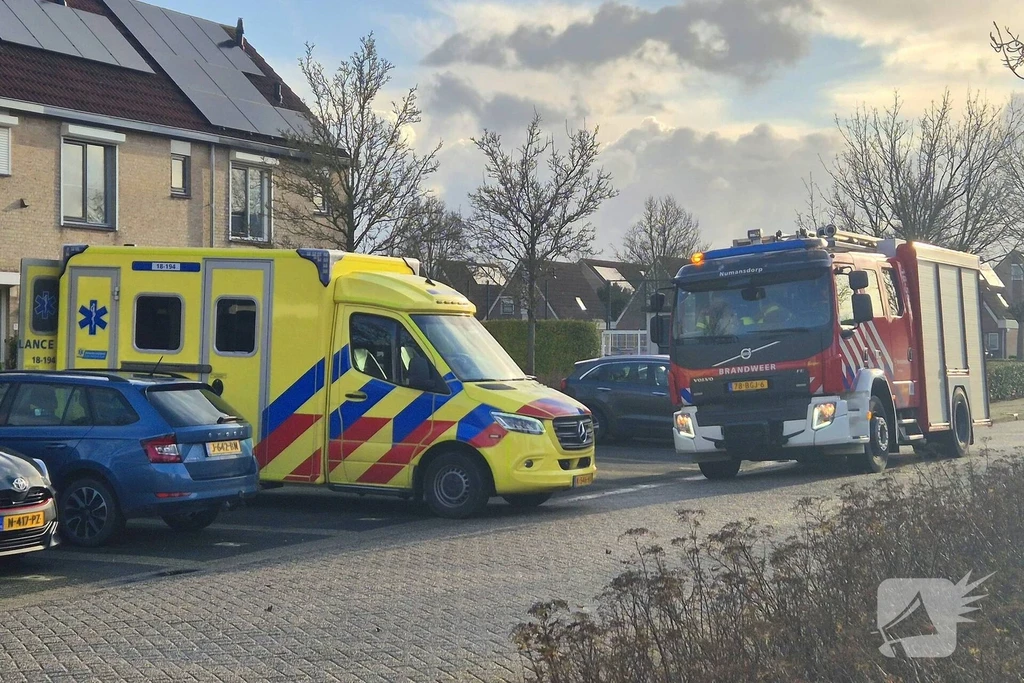 Roerdompsingel Nieuws Numansdorp 