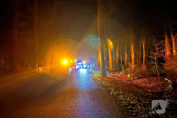 Personenauto botst tegen boom, bestuurder zwaargewond