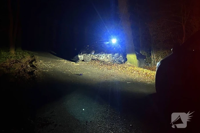 Personenauto botst tegen boom, bestuurder zwaargewond