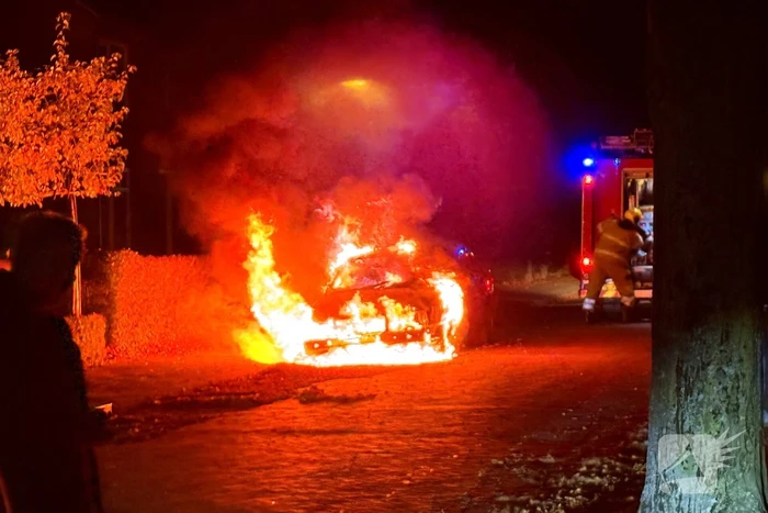brand lavendelstraat uden