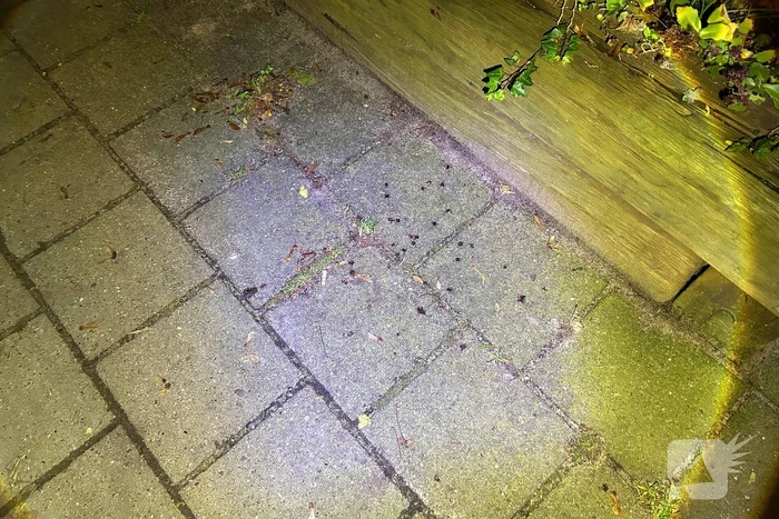 Persoon neergestoken op straat