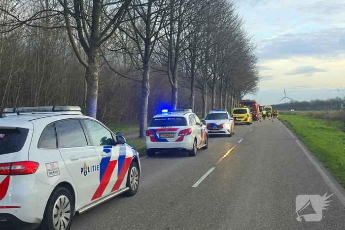 Automobilist zwaargewond bij aanrijding met boom