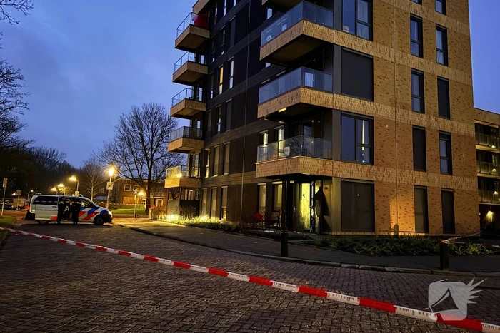 nieuws egelantierstraat leeuwarden