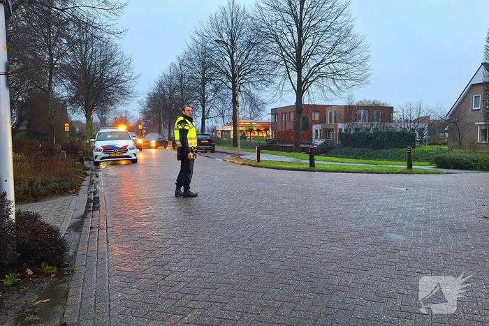 Automobilist botst tegen boom