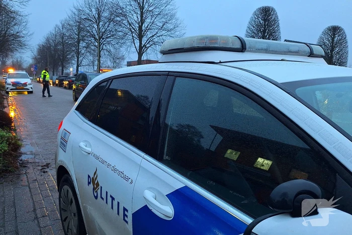 Automobilist botst tegen boom