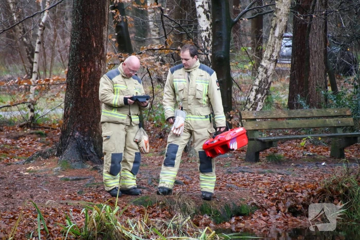 Voorbijganger vindt kinderschoenen langs water