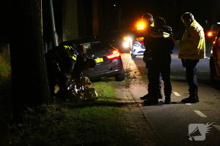 Persoon naar ziekenhuis na eenzijdig ongeval met boom