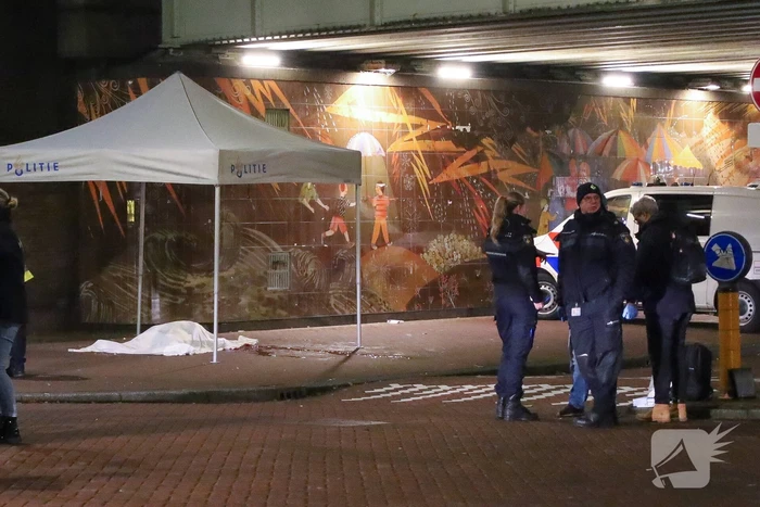 Persoon overleden bij schietpartij