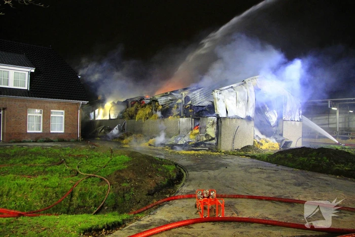 Stal vol hooi verwoest door brand