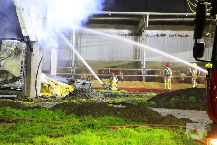 Stal vol hooi verwoest door brand