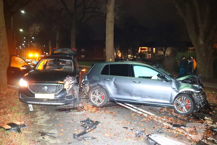 Ravage nadat auto op boom klapt