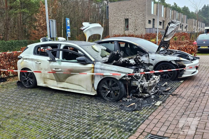 Nacontrole na brand elektrische auto's