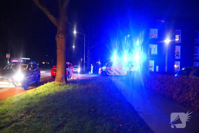 Automobilist eindigt in bosschage