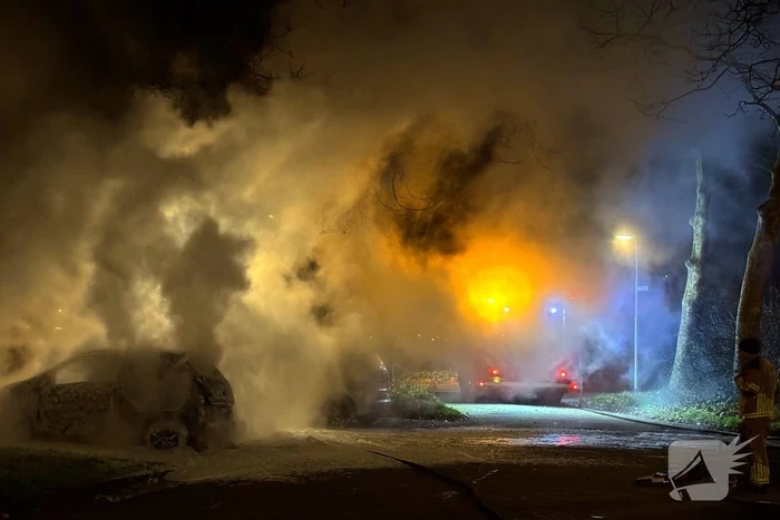 Geparkeerde personenwagens volledig uitgebrand