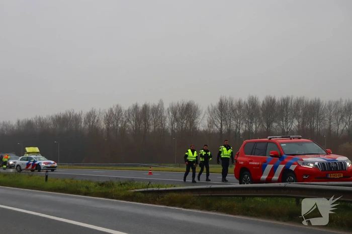 Snelweg afgesloten wegens hulp aan paard