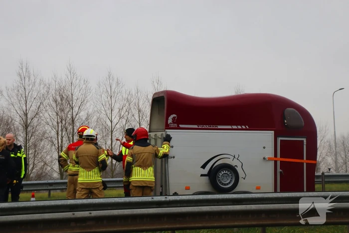 Snelweg afgesloten wegens hulp aan paard