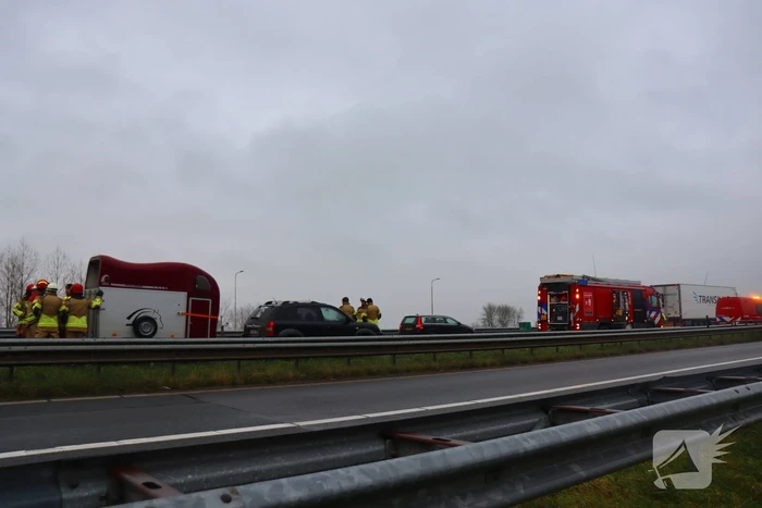 Snelweg afgesloten wegens hulp aan paard