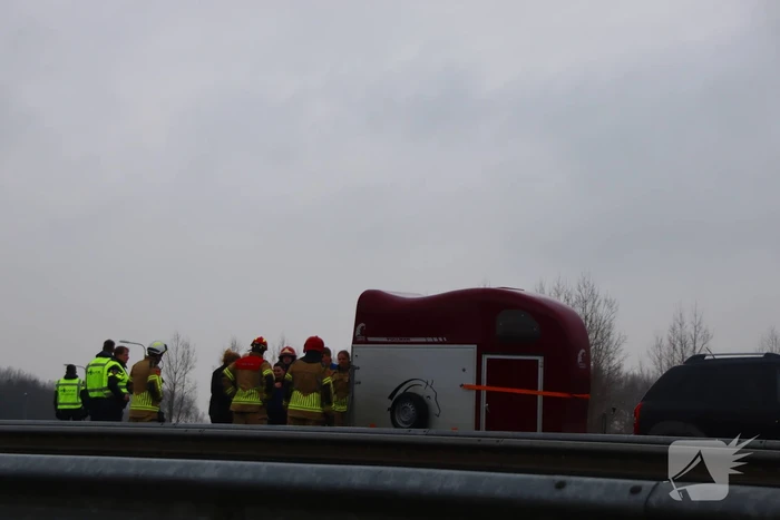 Snelweg afgesloten wegens hulp aan paard