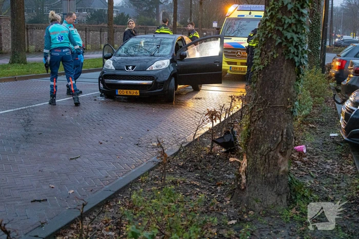 Gewonde nadat auto uit bocht vliegt en tegen boom klapt