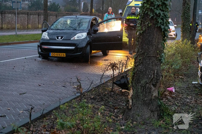 Gewonde nadat auto uit bocht vliegt en tegen boom klapt