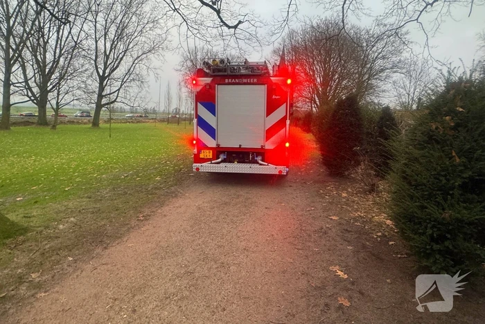 Brandweer ingezet voor brandende boomstronk