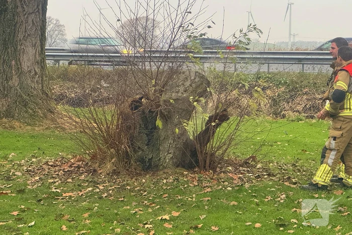 brand veldsteeg waalwijk