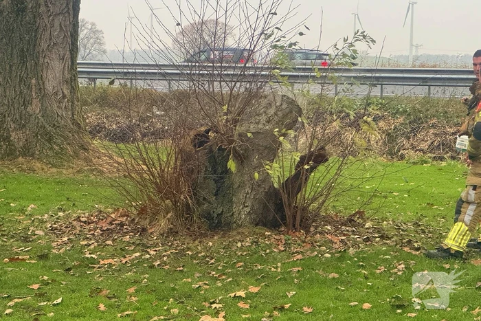 Brandweer ingezet voor brandende boomstronk