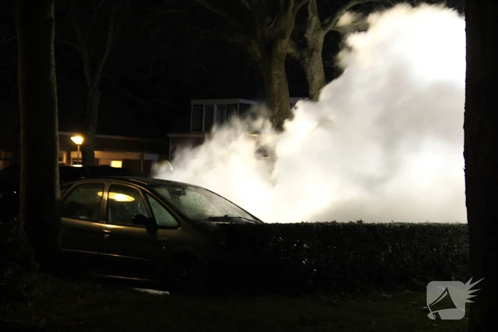 Geparkeerde auto's verwoest door brand