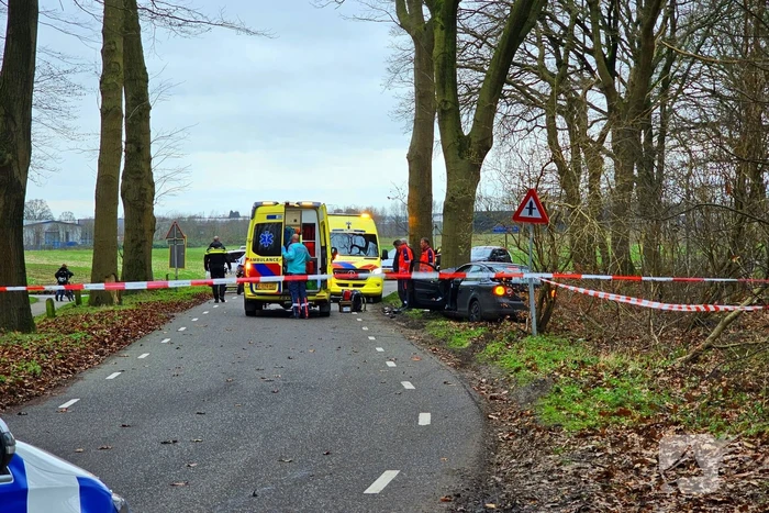 Persoon zwaargewond bij botsing tegen boom