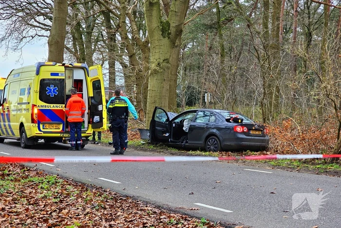 Persoon zwaargewond bij botsing tegen boom