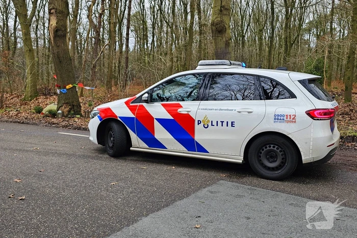 Persoon zwaargewond bij botsing tegen boom