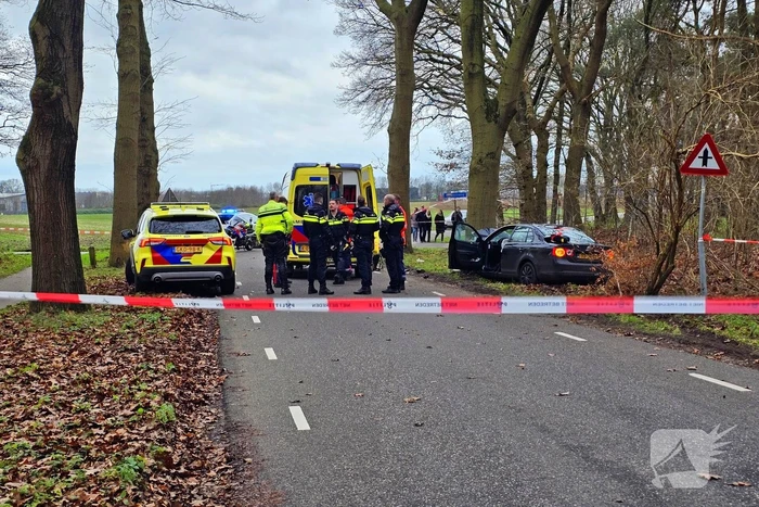 Persoon zwaargewond bij botsing tegen boom
