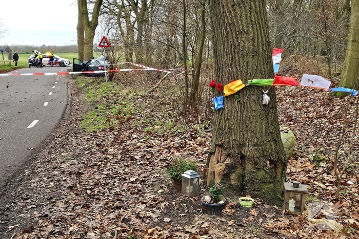 Persoon zwaargewond bij botsing tegen boom