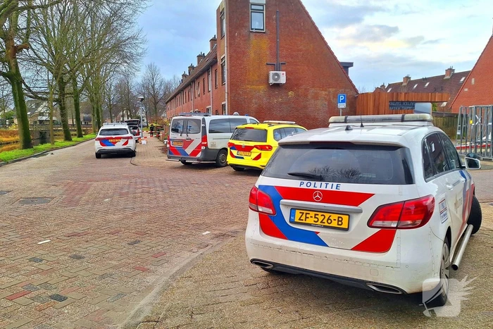 nieuws patio hoorn