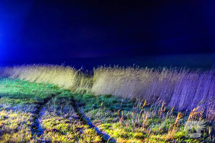 Auto belandt op zijkant langs kanaal