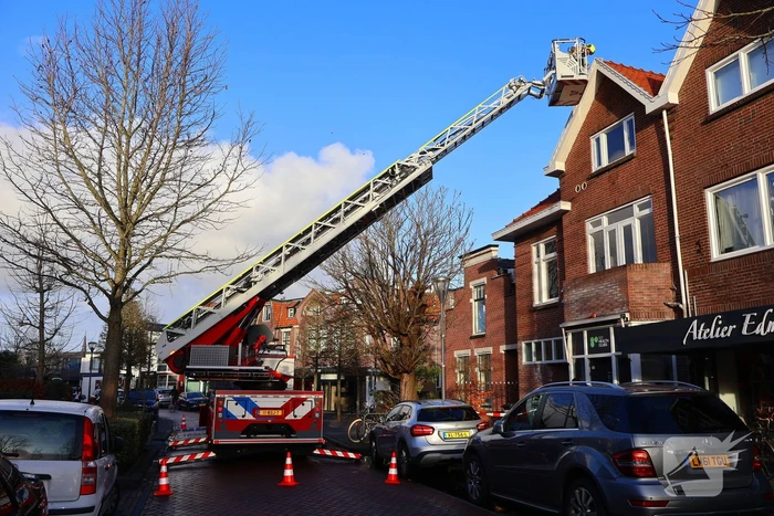 natuur de kempenaerstraat oegstgeest