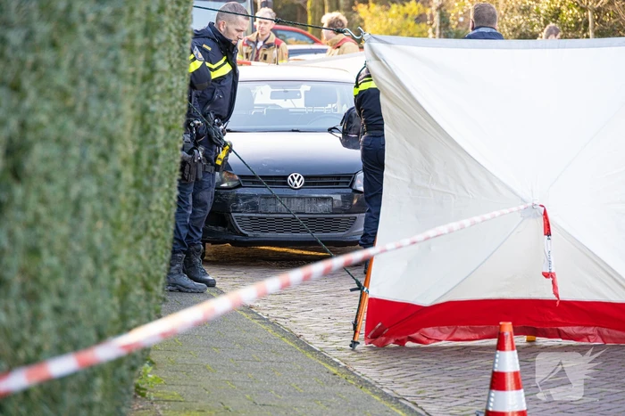 Voetganger overleden na aanrijding met lantaarnpaal