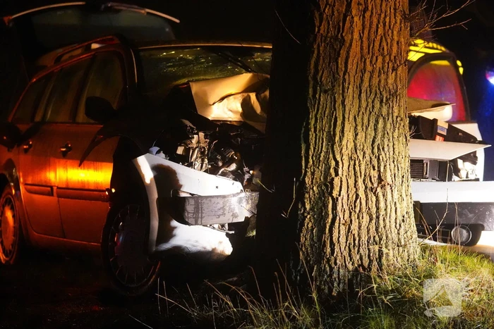 Auto raakt van de weg en botst tegen boom