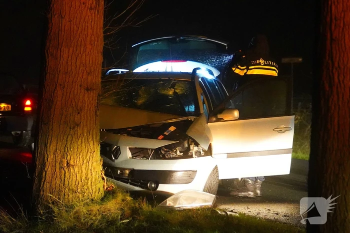Auto raakt van de weg en botst tegen boom