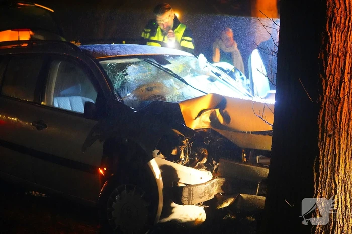 Auto raakt van de weg en botst tegen boom