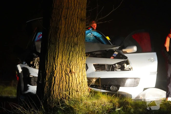 Auto raakt van de weg en botst tegen boom
