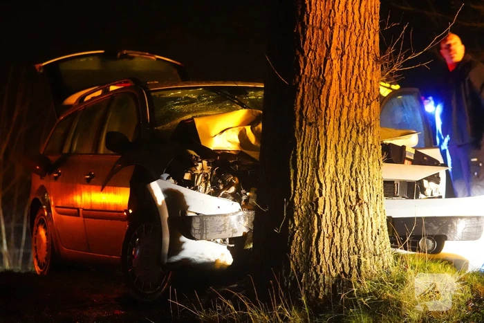 Auto raakt van de weg en botst tegen boom