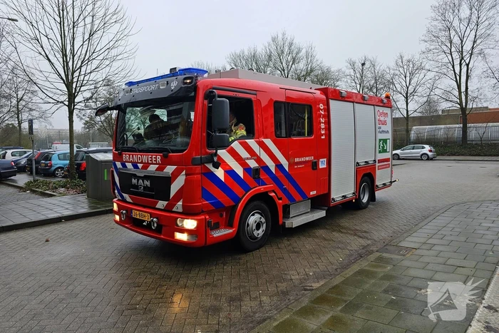 Kat bevrijdt uit benarde positie