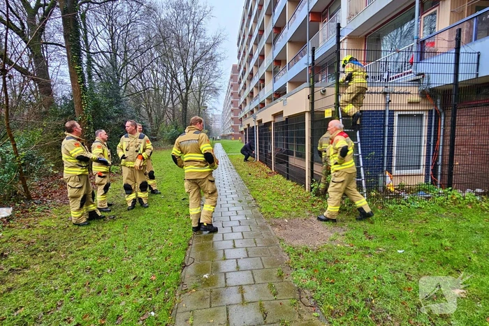 Kat bevrijdt uit benarde positie
