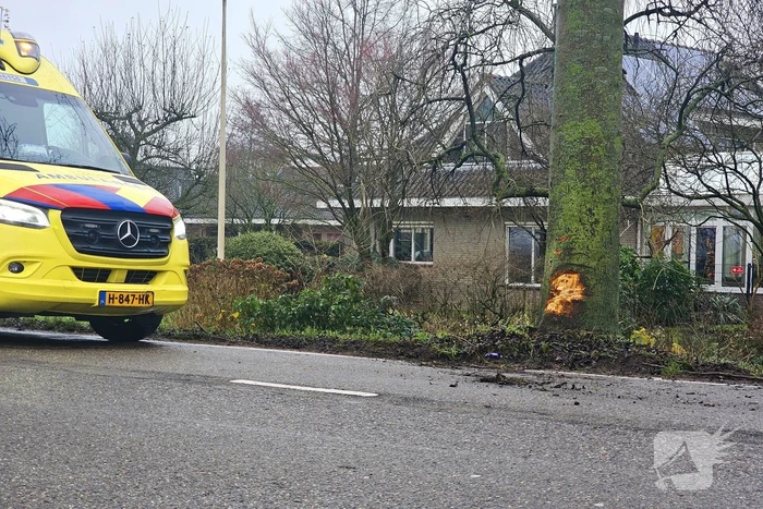 Sportwagen botst tegen boom en belandt in sloot