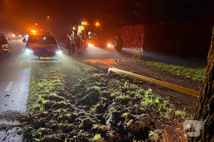 Auto botst tegen lantaarnpaal en belandt tegen boom