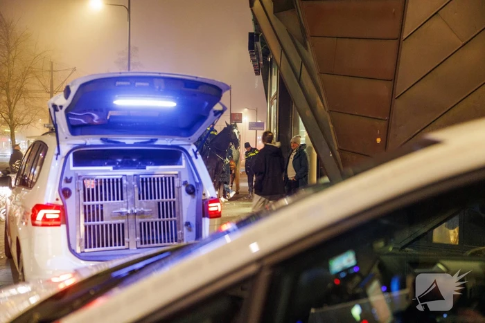 Politie grijpt in bij vechtpartij