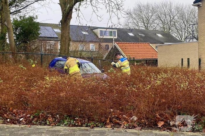 Auto rijdt meters achteruit bosschages in