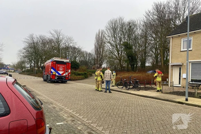 Auto rijdt meters achteruit bosschages in