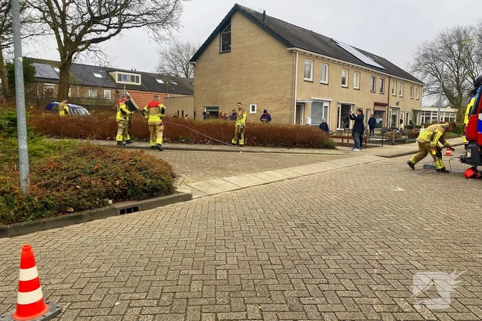 Auto rijdt meters achteruit bosschages in